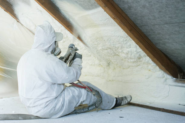 Best Blown-In Insulation  in Morehead, KY