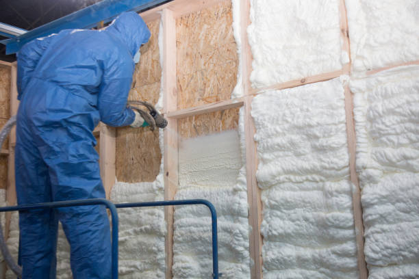 Best Batt and Roll Insulation  in Morehead, KY